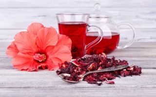 Herbata z hibiskusa: przydatne właściwości i przeciwwskazania, sposób parzenia, recenzje