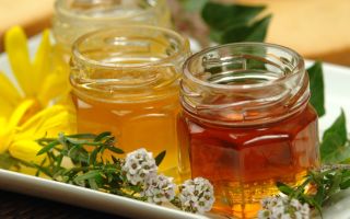 ประโยชน์และโทษของน้ำผึ้งเกาลัดวิธีระบุของปลอม