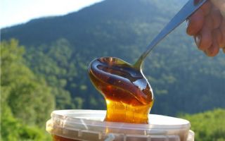 Bakit kapaki-pakinabang, komposisyon at mga katangian nito ang honey honey sa bundok?