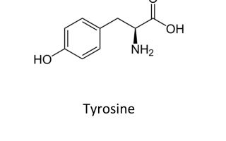Sadržaj tirozina u hrani: tablica