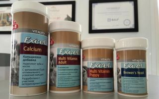 Excel-vitamiinit koirille: pennuille, aikuisille ja vanhoille koirille