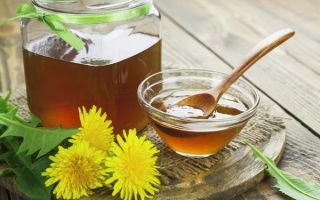 น้ำผึ้งดอกแดนดิไลอัน: ประโยชน์และสูตรการทำอาหารที่บ้าน