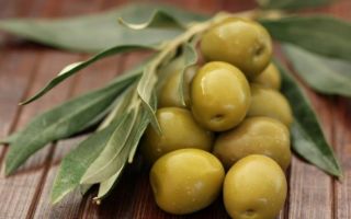 Perché le olive sono utili, proprietà e contenuto calorico