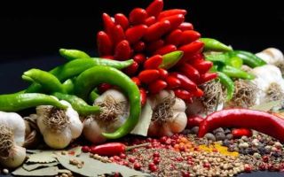 Baharatlı yiyecekler: yararları ve zararları