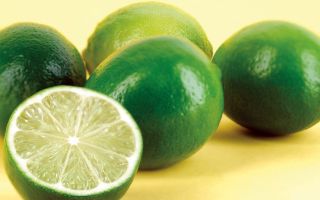 Lime: kapaki-pakinabang na mga katangian at contraindications