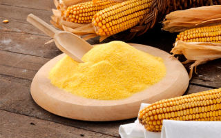 Mengapa tepung jagung berguna untuk badan