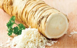 Horseradish: sifat berguna dan kontraindikasi, cara memasak di rumah