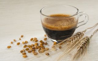 Kawa jęczmienna: korzyści i szkody
