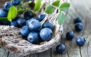 Manfaat kesihatan dan keburukan blueberry