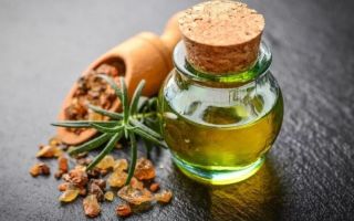 Myrrhe: propriétés et utilisations de l'huile essentielle, de la résine, de la teinture