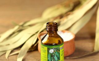 Eigenschaften und Verwendung von ätherischem Eukalyptusöl
