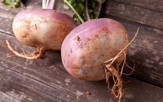 Rutabaga: jakie to warzywo i jak wygląda, zdjęcie, do czego jest przydatne