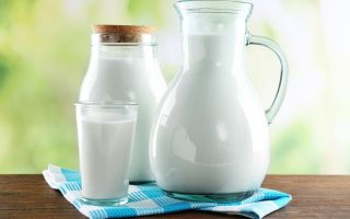 Mleko: użyteczne właściwości i przeciwwskazania