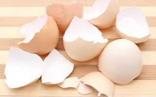 Warum Eierschalen nützlich sind, wie man sie kocht und verwendet, Bewertungen