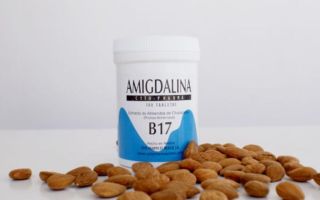 Vitaminas B17: kokie maisto produktai yra, lentelė, apžvalgos