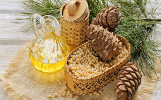 Cedar oil: beneficial properties and harm
