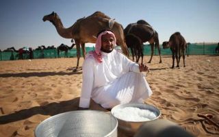 Γιατί είναι χρήσιμο το γάλα καμήλας;