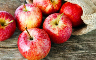 Elmalar neden vücut, tıbbi özellikler ve kontrendikasyonlar için faydalıdır