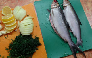 Ψάρια γάλακτος (hanos): οφέλη, πώς να μαγειρεύετε, όπου βρίσκονται