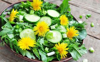 Salad Dandelion: faedah, cara memasak