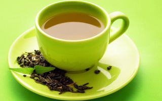תה ירוק ושחור עם נקניק: תכונות שימושיות ותמונות