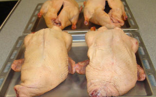 The benefits and harms of duck meat