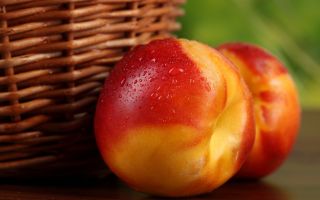 Nectarines during pregnancy: in the 1st, 2nd, 3rd trimester, benefits and harms