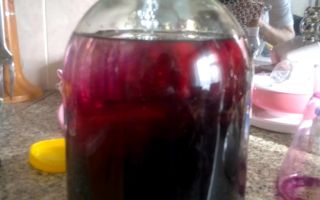Is it harmful and how to clean the moonshine with potassium permanganate