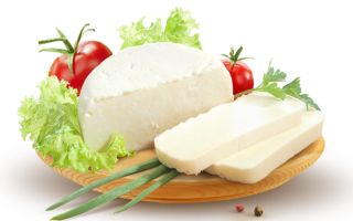 Les avantages et les inconvénients du fromage Adyghe