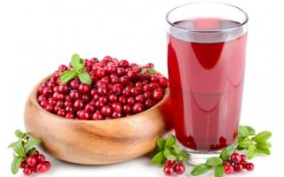 Warum ist Cranberry-Saft nützlich für Frauen, Männer, Kinder