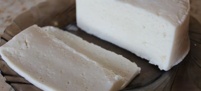 Γιατί το κατσικίσιο τυρί είναι καλό για εσάς