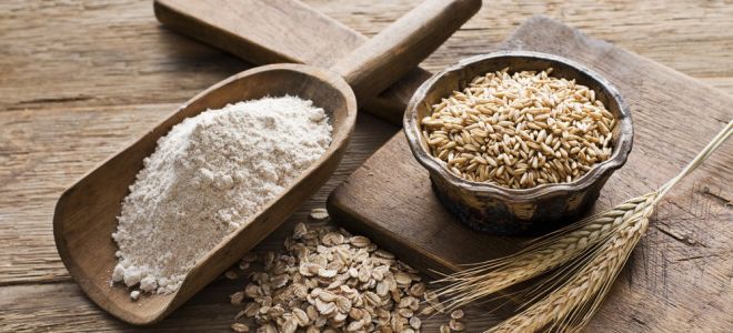 Dlaczego mąka owsiana jest przydatna?