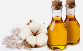 Nützliche Eigenschaften von Baumwollsamenöl und Kontraindikationen