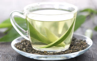 Nuttige eigenschappen van witte thee en contra-indicaties