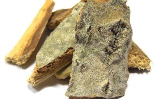 What helps aspen bark, useful properties and contraindications