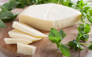 Perché è utile il formaggio suluguni?