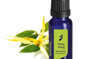 Ylang-ylang olej na vlasy: vlastnosti, recenzie, spôsob použitia