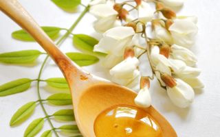 Propriétés utiles et contre-indications du miel d'acacia