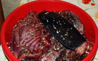 Tại sao thịt hải ly lại hữu ích
