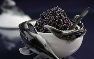 Caviarul negru: beneficii și daune, compoziția chimică, contraindicații