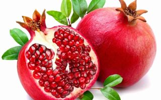Jakie owoce zwiększają ciśnienie krwi u ludzi: lista dla pacjentów z hipotensją