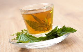 Užitočné vlastnosti žihľavového čaju a spôsob jeho výroby