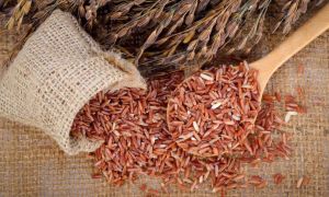 Pourquoi le riz brun (brun) est-il utile et comment le cuire correctement
