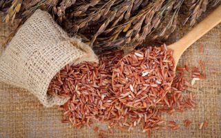 De ce este util orezul brun (brun) și cum se gătește corect