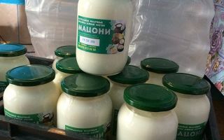 Varför är yoghurt användbart, ett recept med ett foto