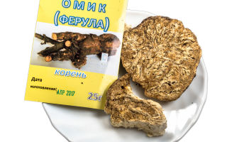 Omikin (dzhungarian ferula) lääkinnälliset ominaisuudet, hyödyt ja haitat