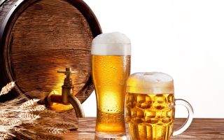 ¿Qué es la cerveza dañina y útil?
