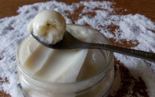 Pourquoi la pâte de noix de coco est-elle utile: composition, teneur en calories, application