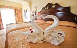 Towel swan: step by step photos and instructions for creating