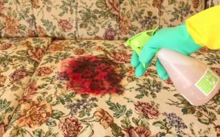 كيف تمسح الدم عن الأريكة